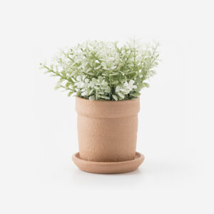 Small Plant Pots